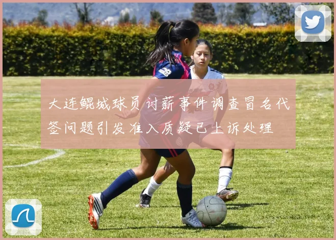 大连鲲城球员讨薪事件调查冒名代签问题引发准入质疑已上诉处理