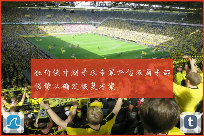 独行侠计划寻求专家评估浓眉手部伤势以确定恢复方案